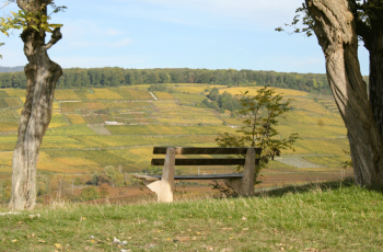 bollenberg_zusslin