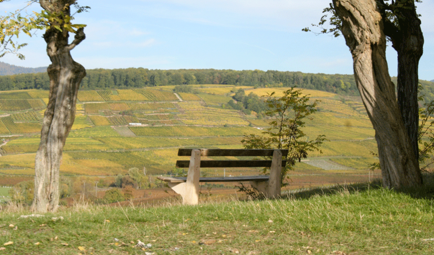 bollenberg_zusslin